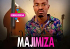 ALBUM: Majimiza - Ningadidigema (2025)