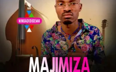 Majimiza - Uyawenza Umsebenzi ft Samkelisiwe Ncwane