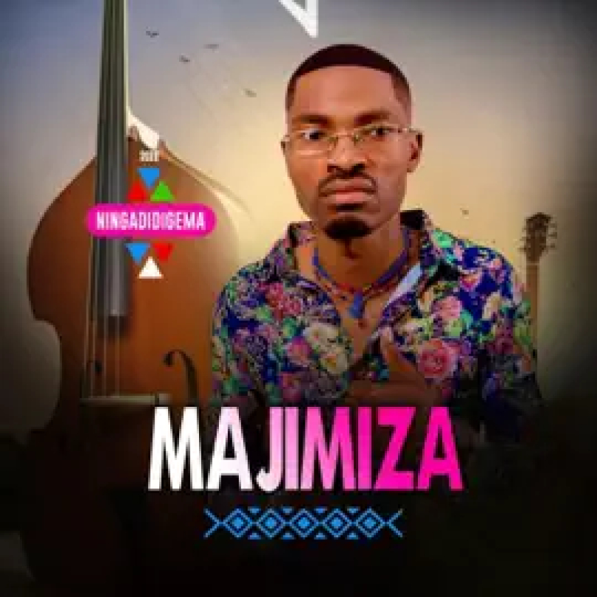 ALBUM: Majimiza - Ningadidigema (2025)