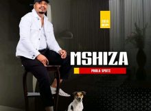 Mshiza Phola spoti EP Download