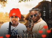 Mjolisi My Dululu Mp3 Download