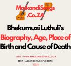 Bhekumuzi Luthuli Biography